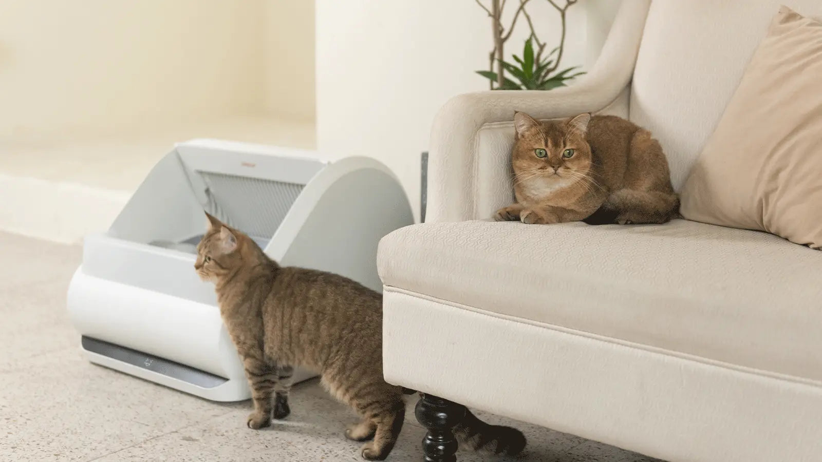 Important Policy Changes