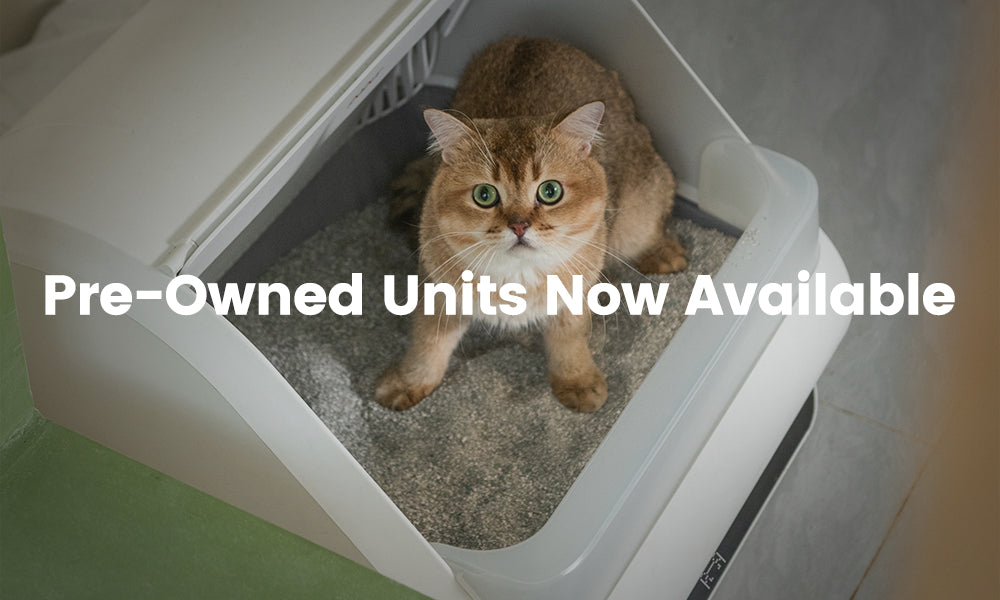 Pre Owned Units Now Available Popur