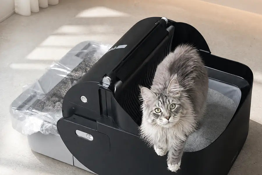 Clear Bin Cover & Bags