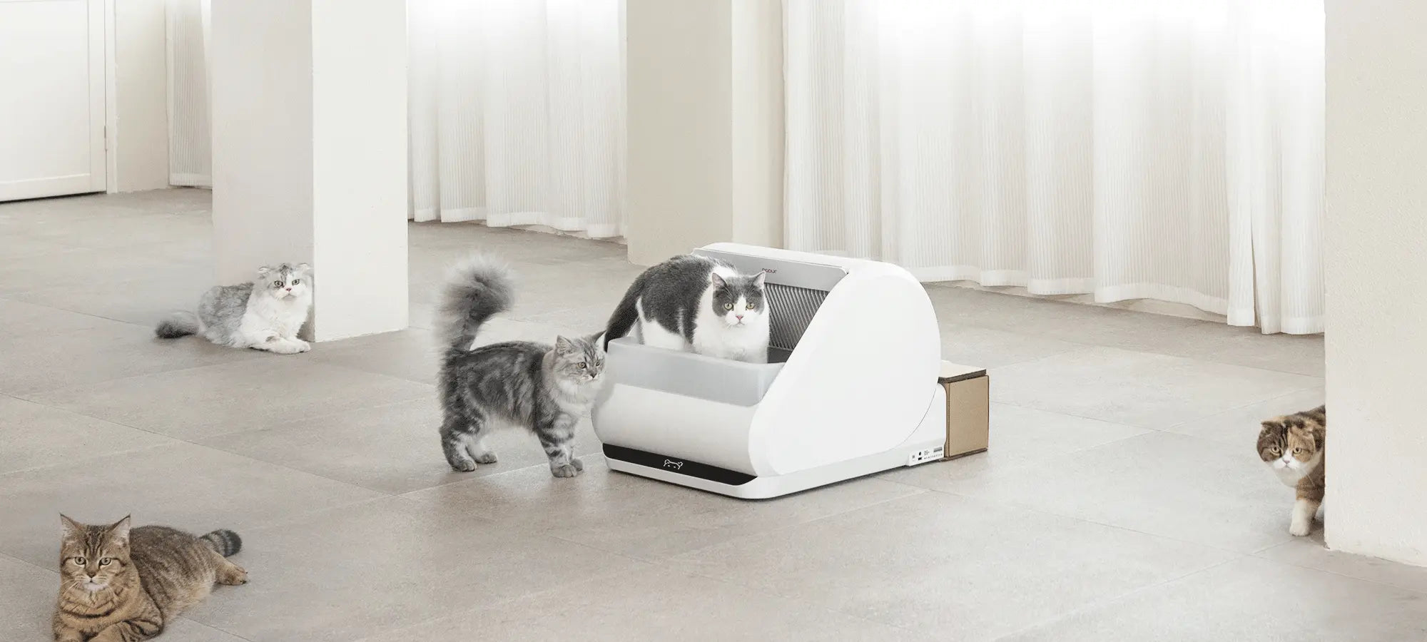 Ingrained cat-first philosophy