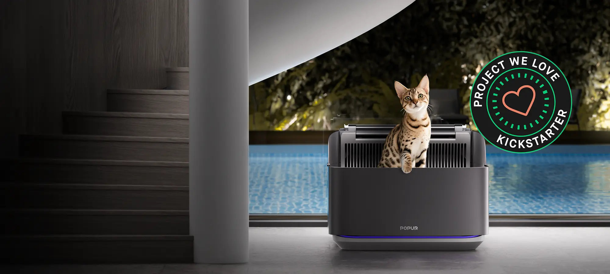 Kickstarted and crowdfunded by 2891 cat parents