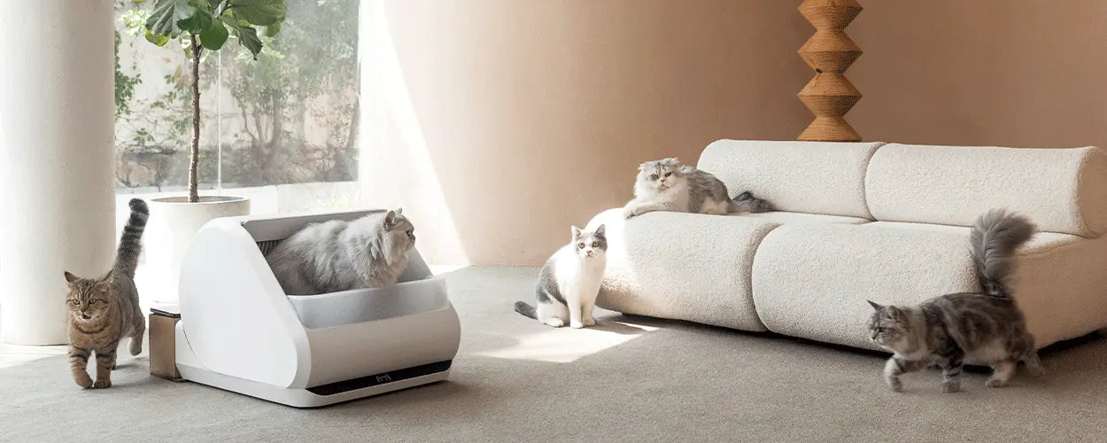 Popur Customer Care Department