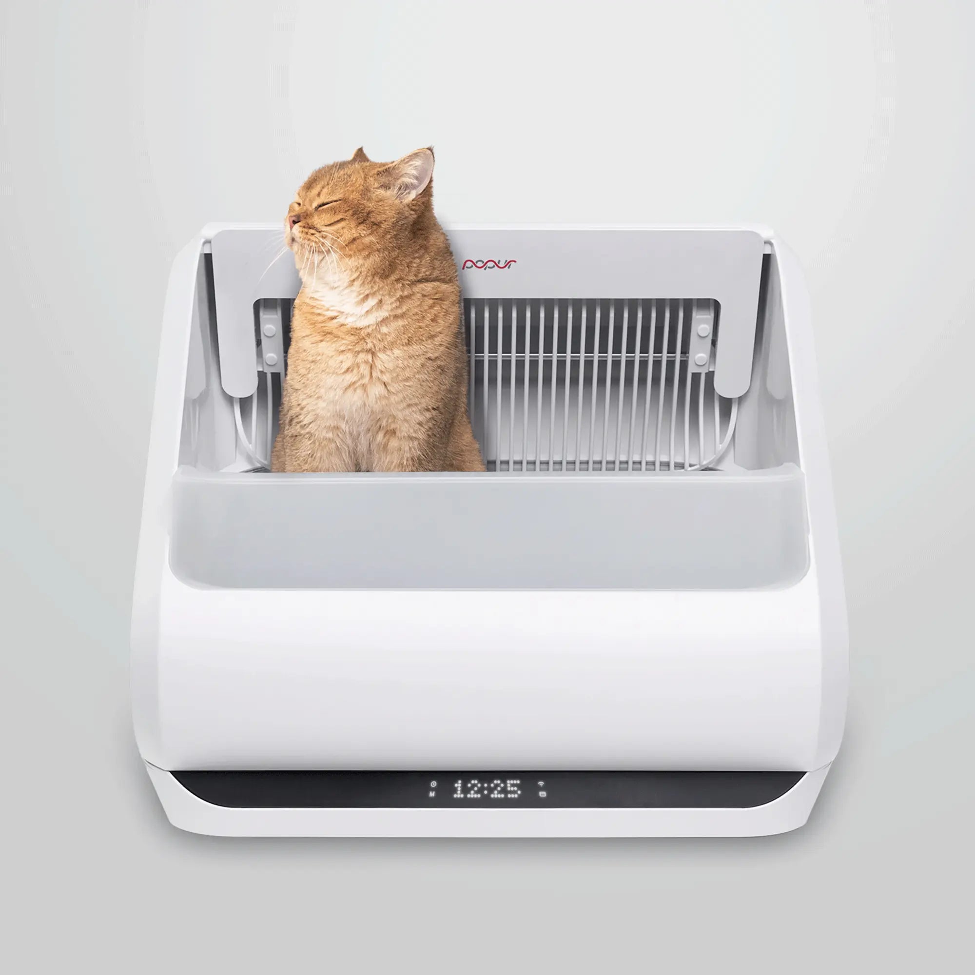 Self Flushing Cat Litter Box Smart Cat Toilet With Self-Cleaning