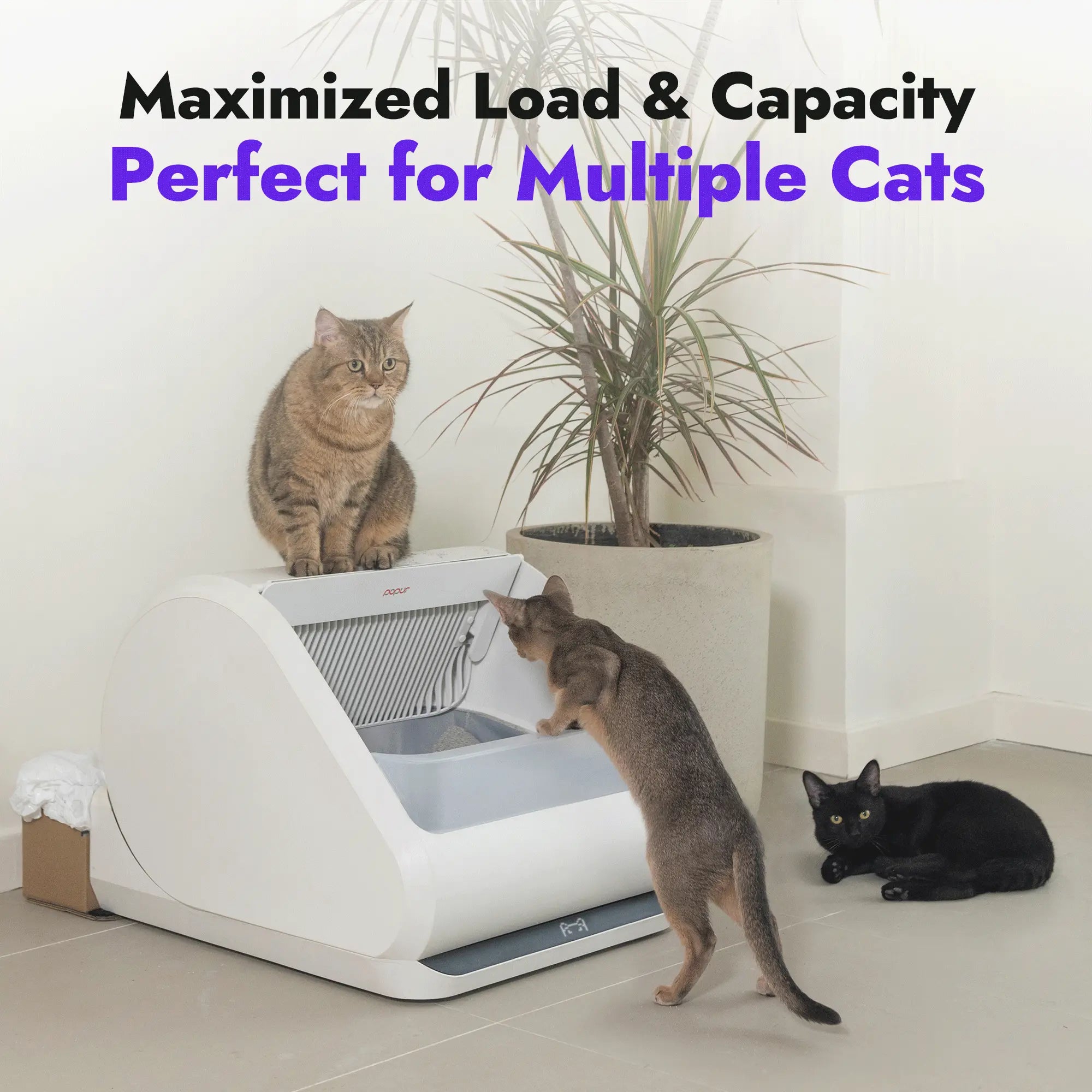 Popur X5 pic05 perfect for multiple cats