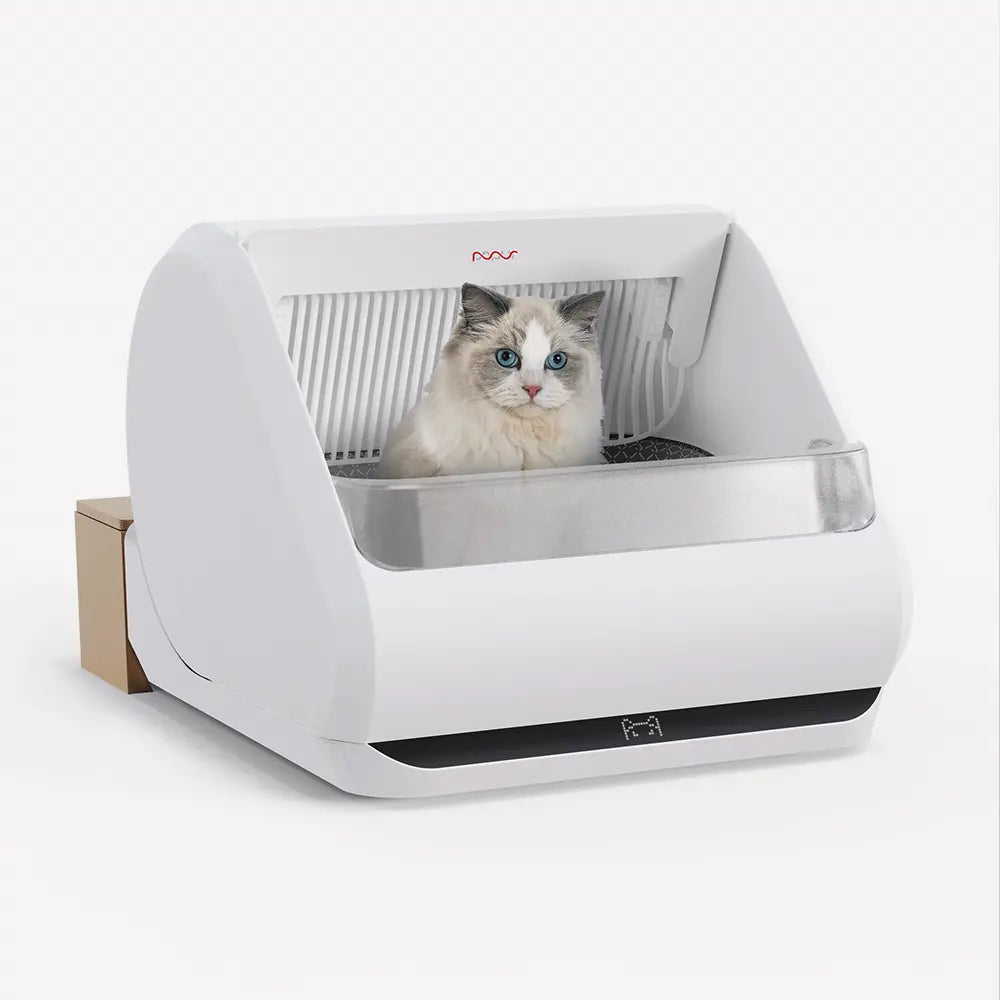 Popur X5 with a fence for adults, chonks, and vertical pee-ers