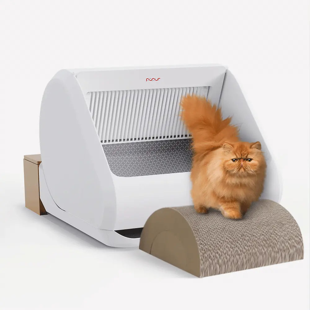 Popur X5 with a ramp for kittens, seniors, and short-legs