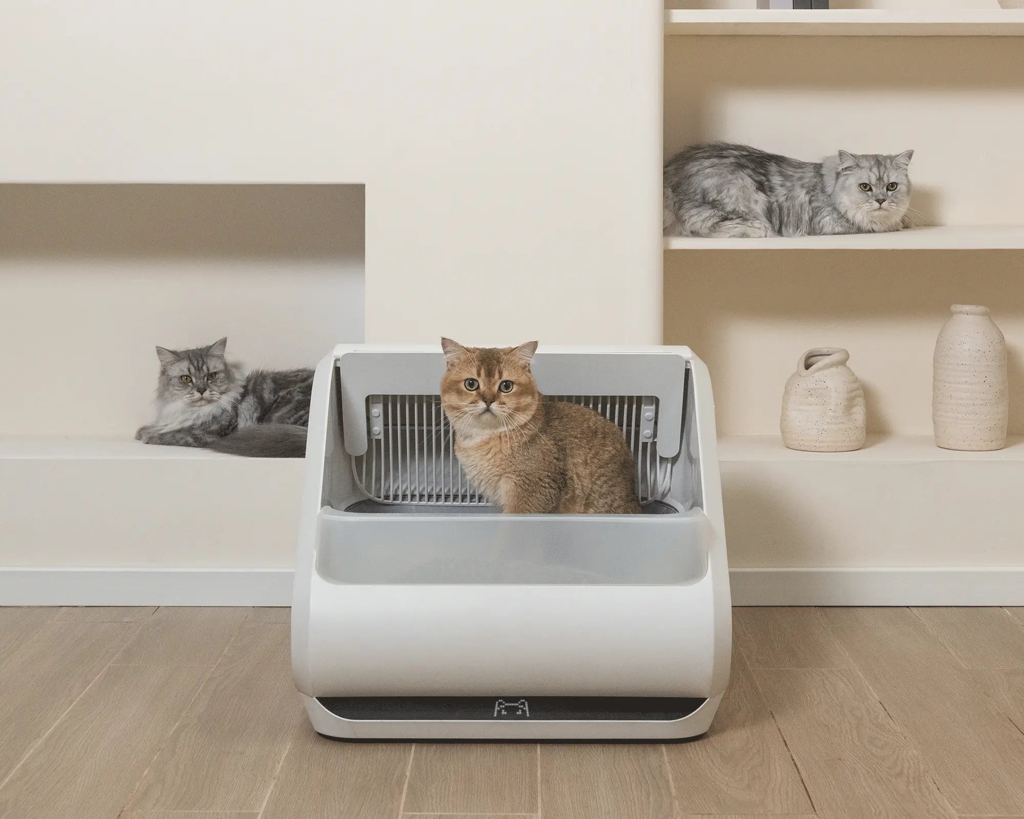 Promotion banner x5 desktop