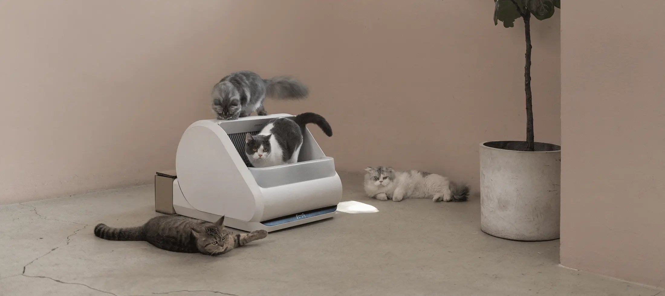 Roomtour basement x5 desktop