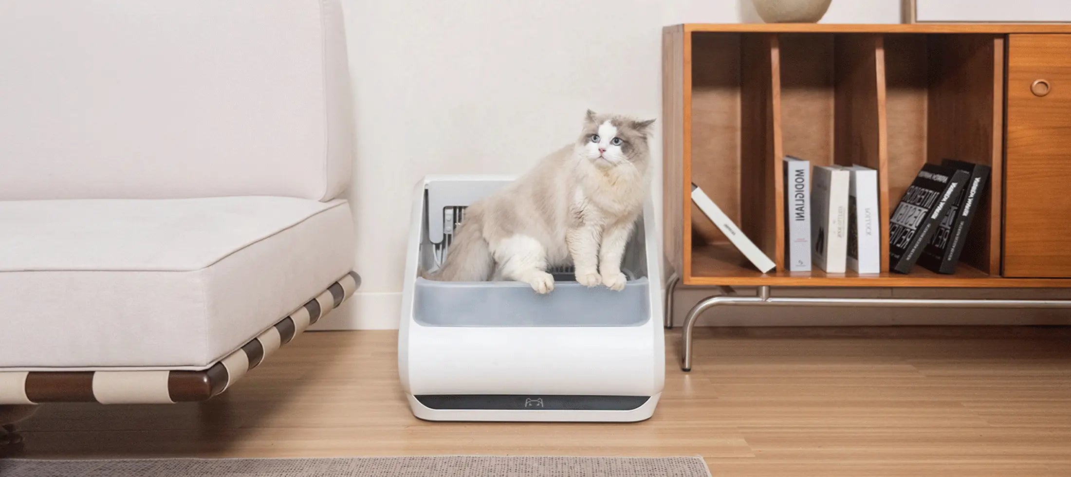 Roomtour lounge x5 desktop