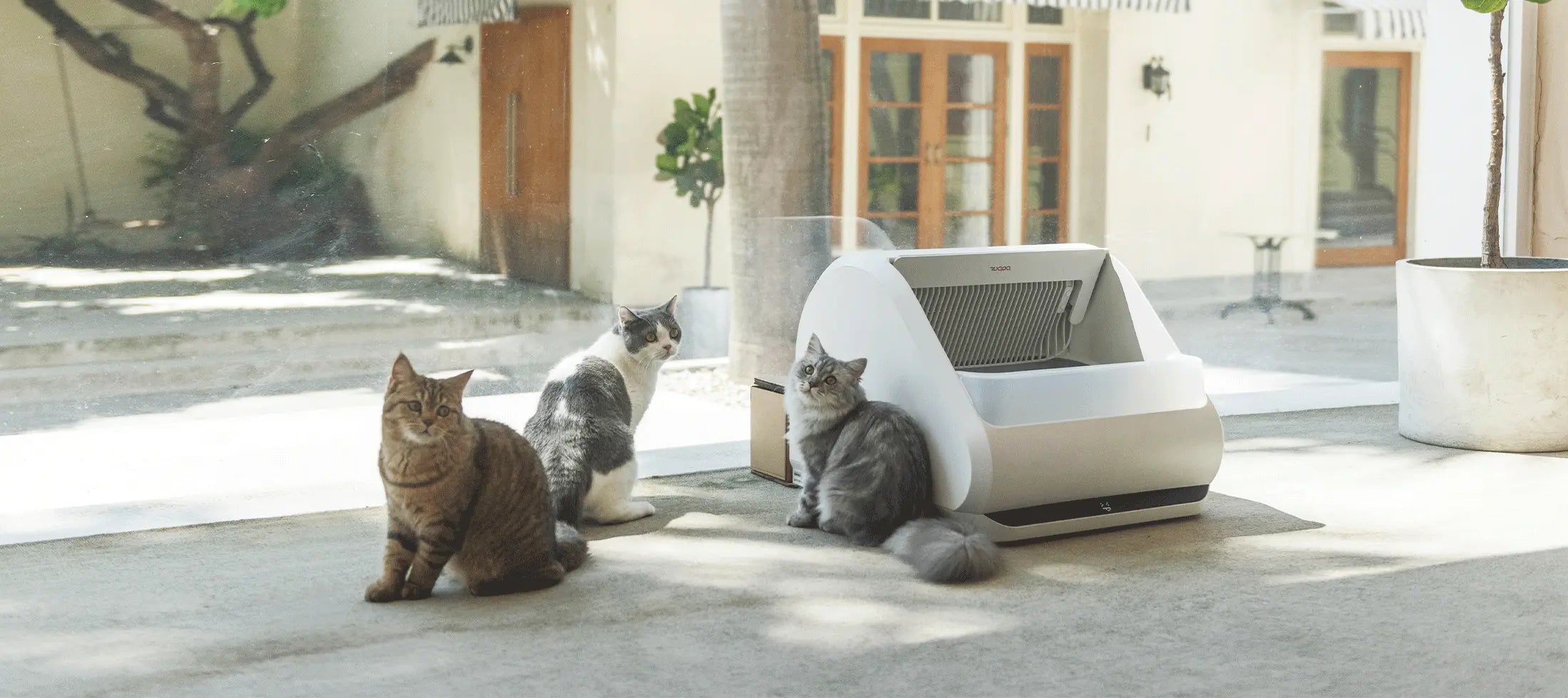 Roomtour patio x5 desktop