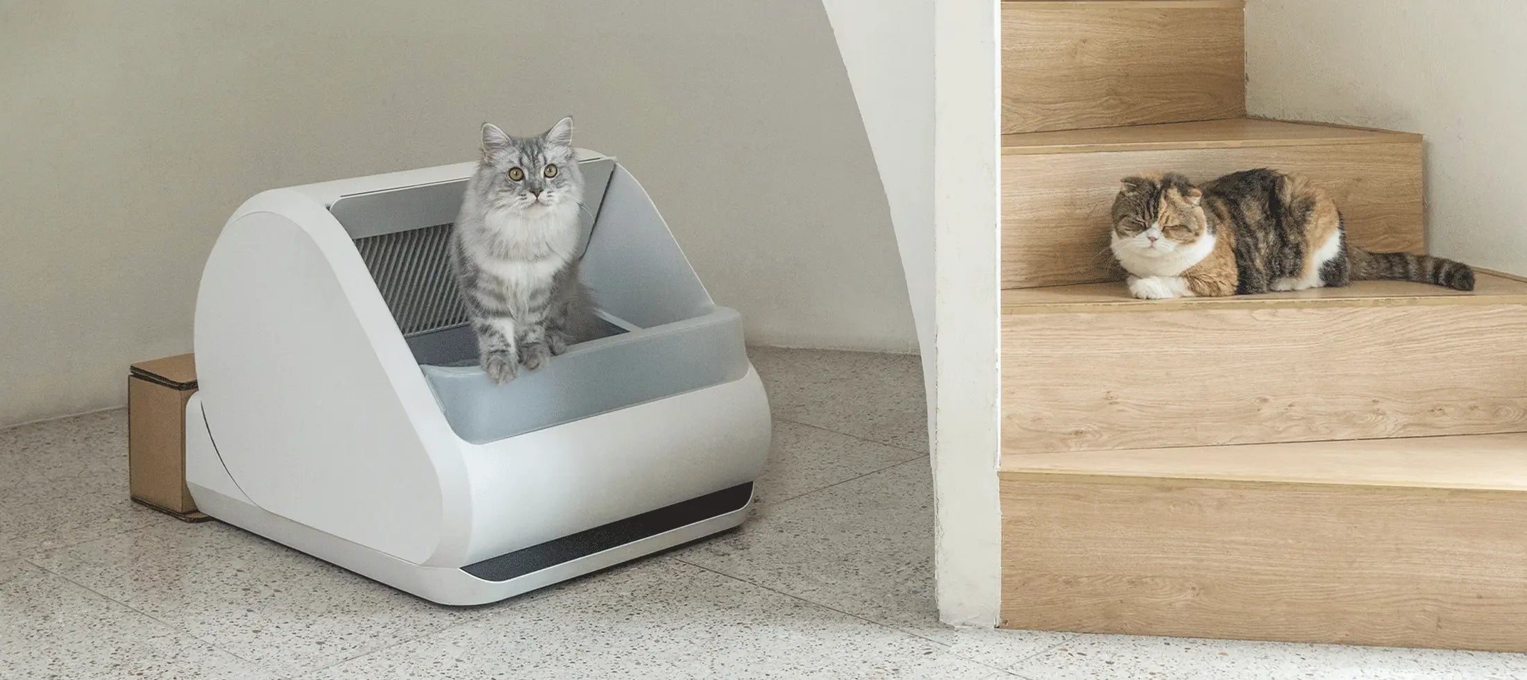 Roomtour stairwell x5 desktop