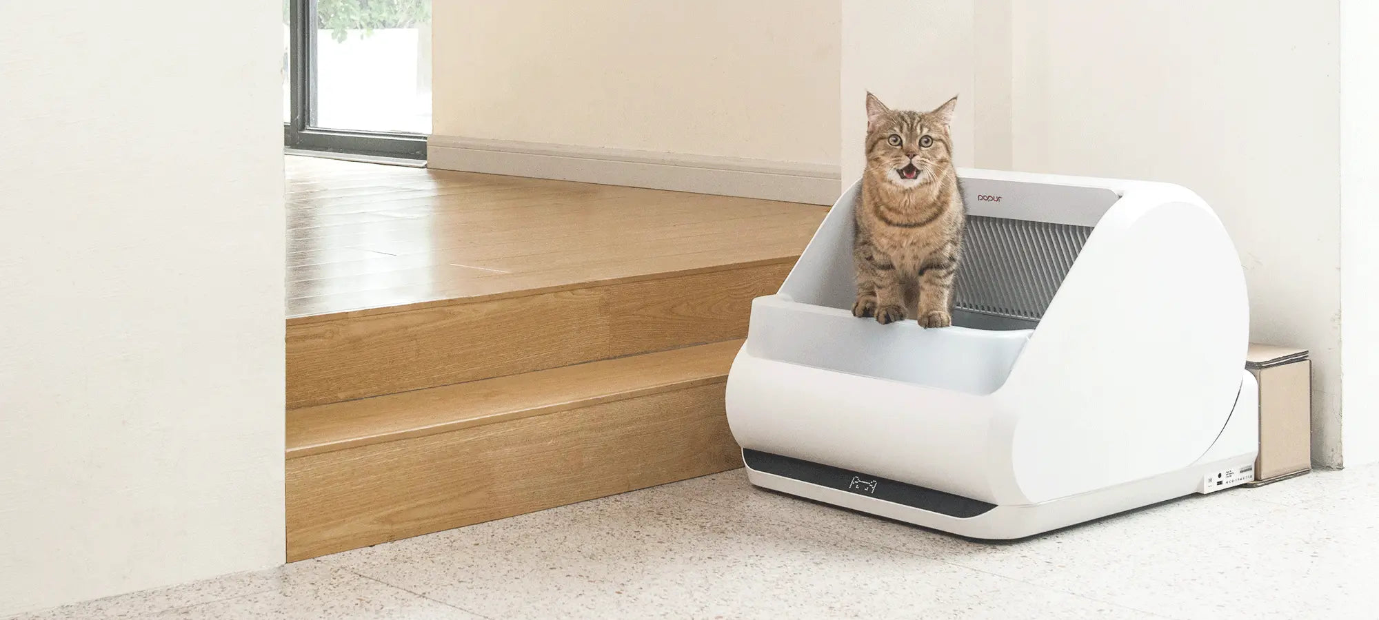 Scaredy cats not a problem