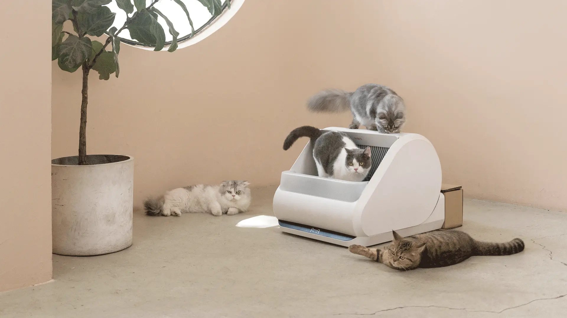 Seal pollutants to trap odors and disinfect