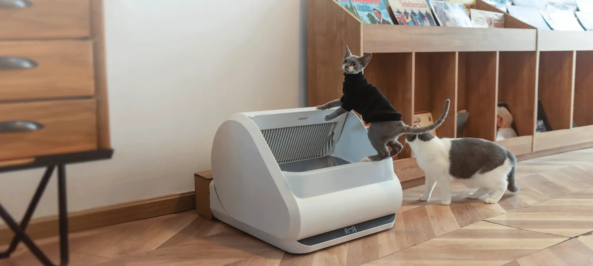 Testimonials banner x5 desktop