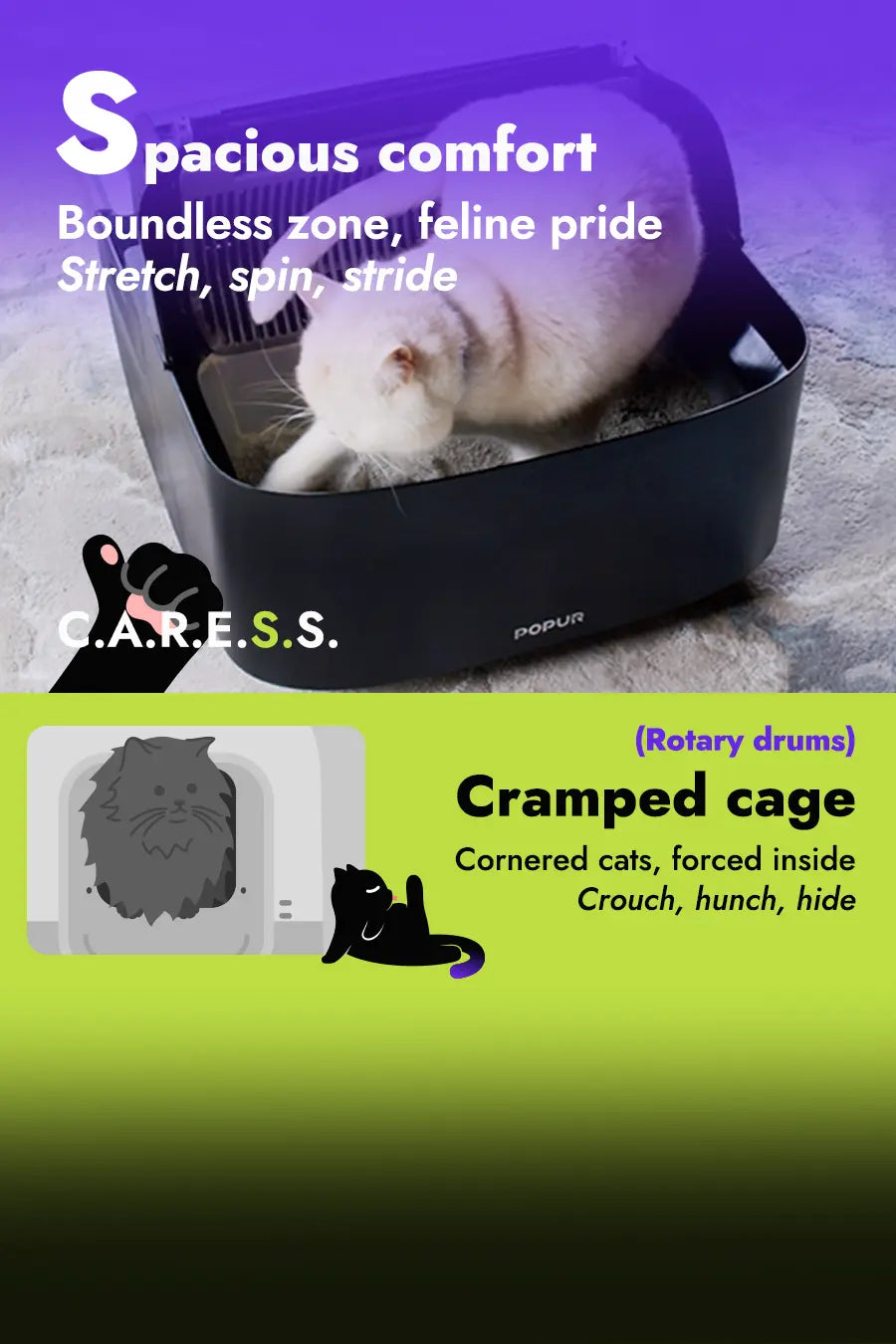 The CARESS foundation: Spacious comfort