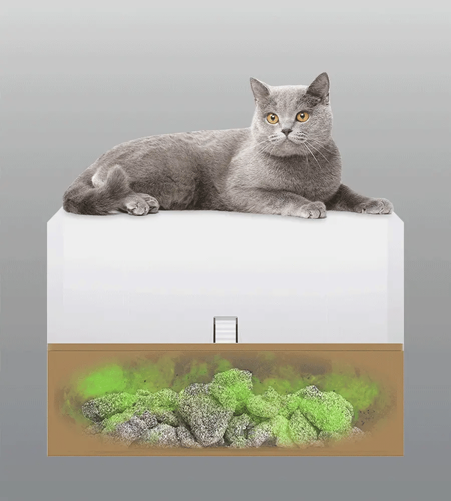 Traps 99.9 percent odor sensible to you and your cats