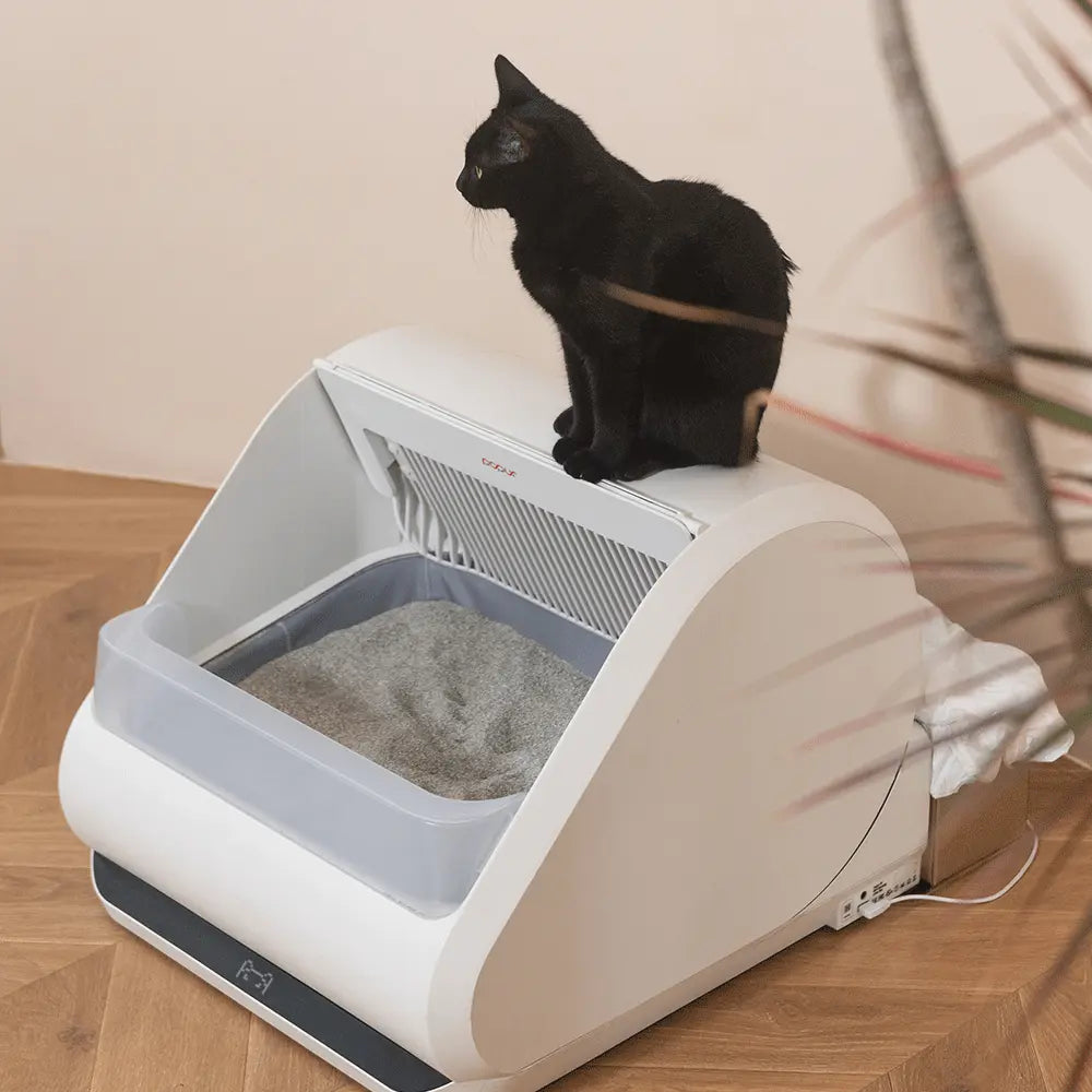 Two styles available cardboard bin on hover