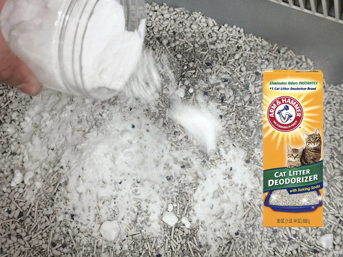 VICTORY over odor Yield