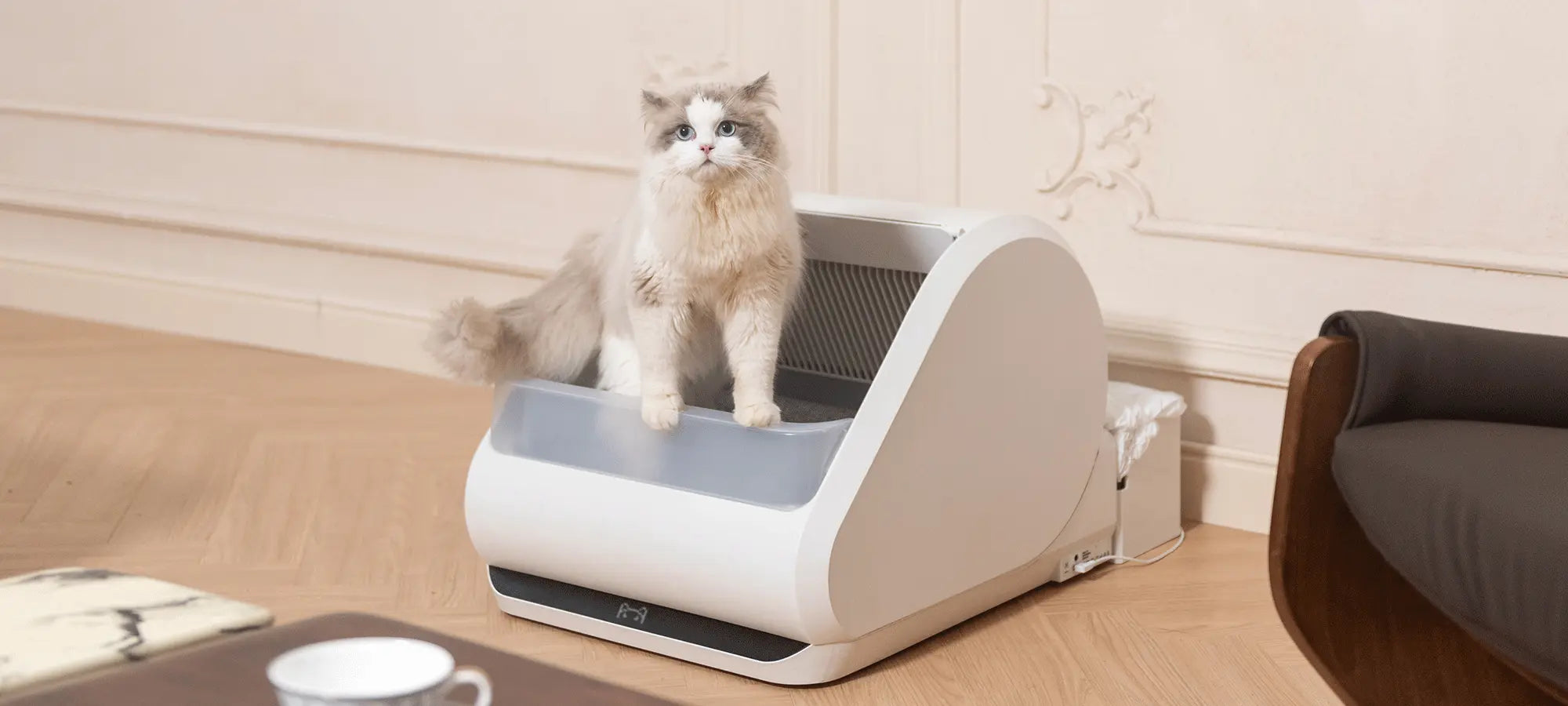We orchestrate litterbox harmony