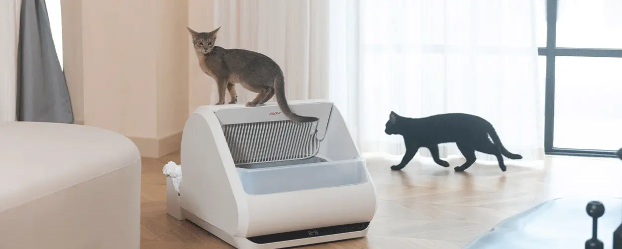 Welcome to the Popur help center