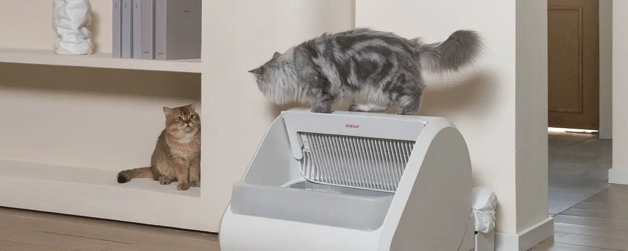 Where amazing things happen