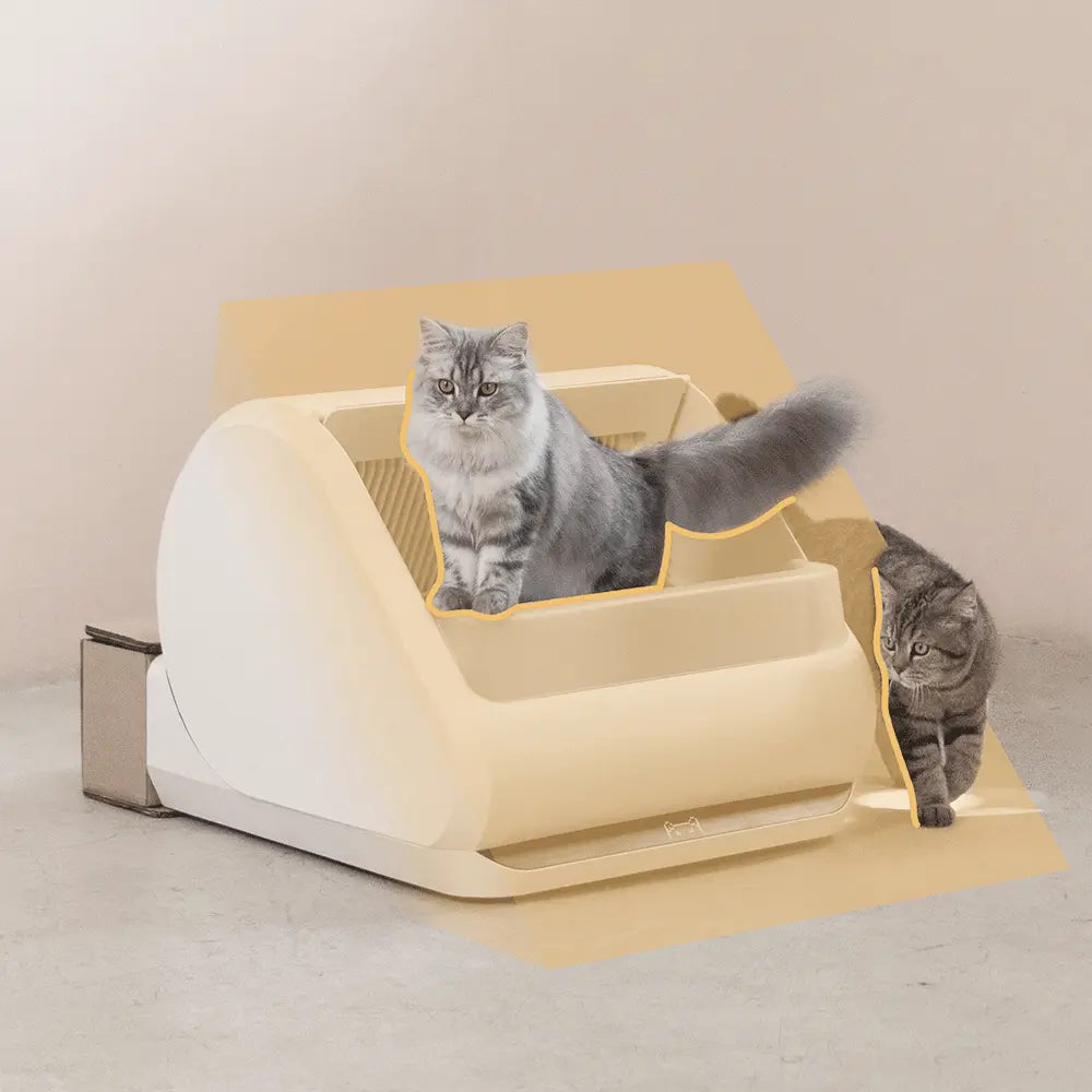 X5 tech responsive supersense algorithm