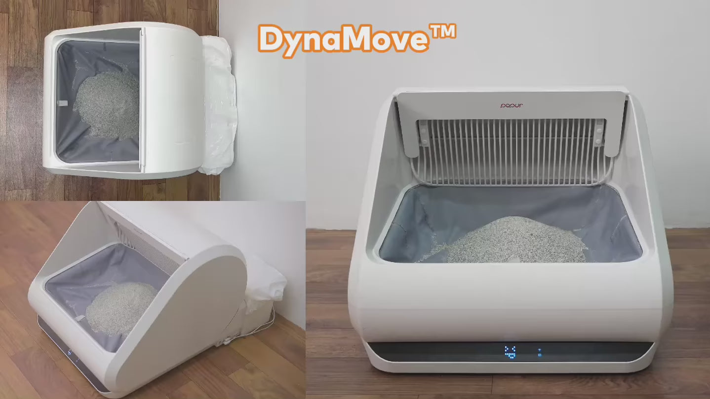 Load video: Advanced strategies ActiveShield and DynaMove video x5