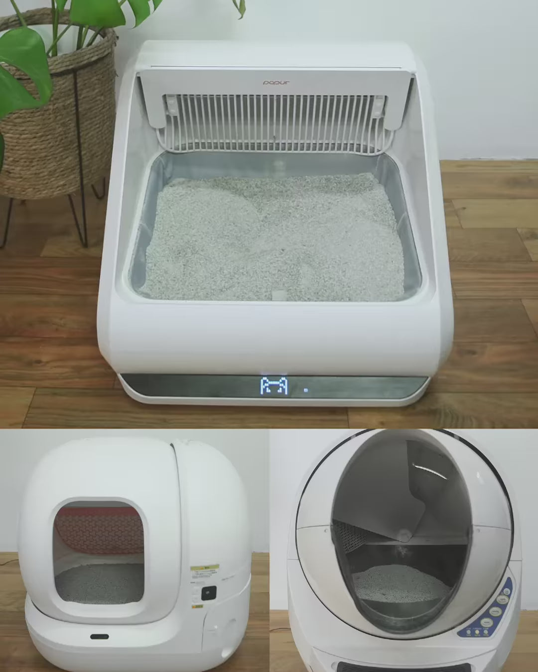 Load video: Reigning champion in litterbox maintenance video x5