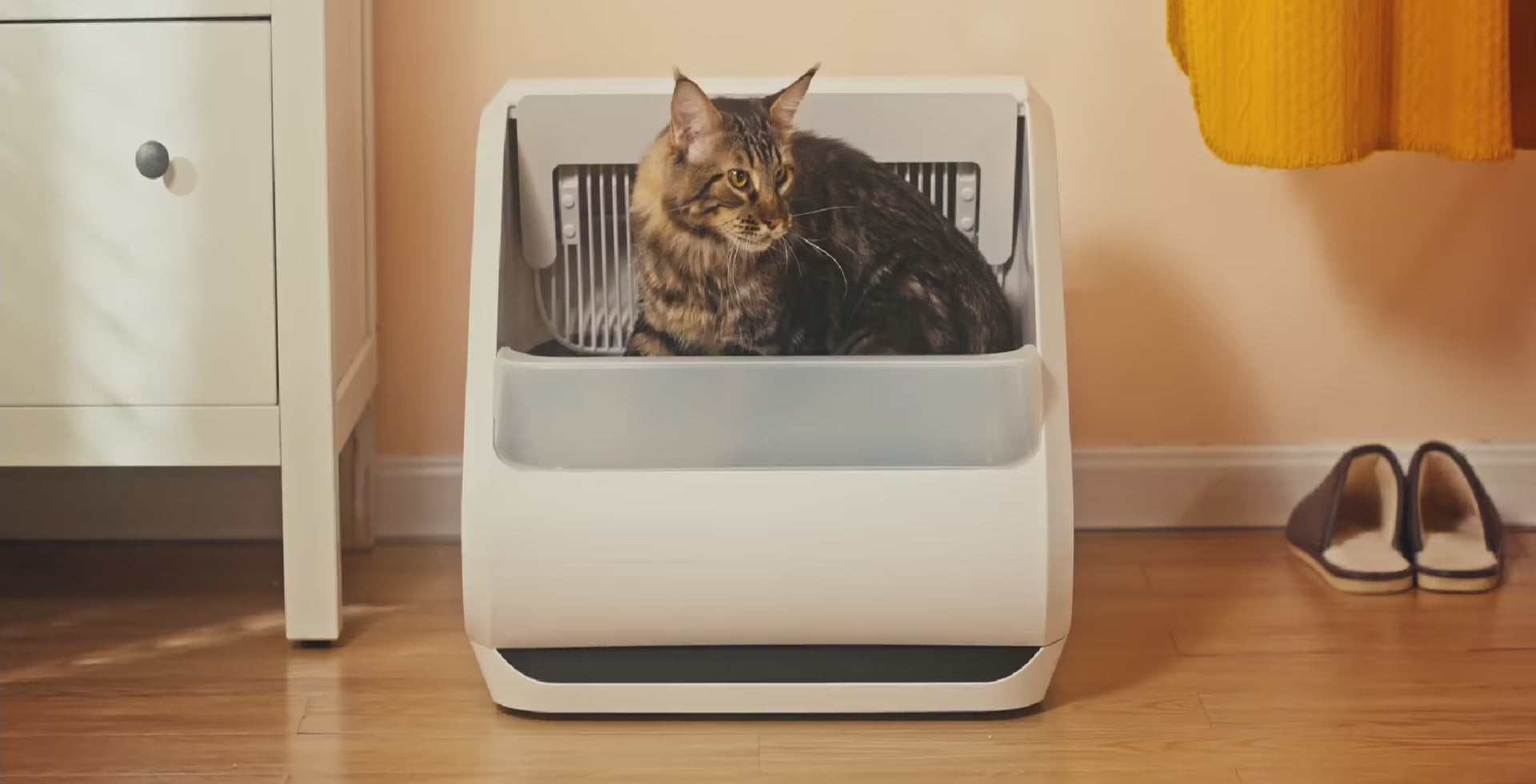 Load video: Meet Popur X5 self-cleaning cat litter box desktop video