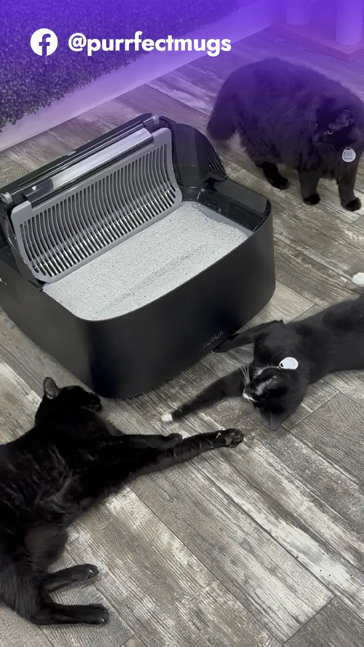 Load video: S7 UGC FB @purrfectmugs