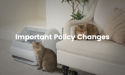 Important Policy Changes