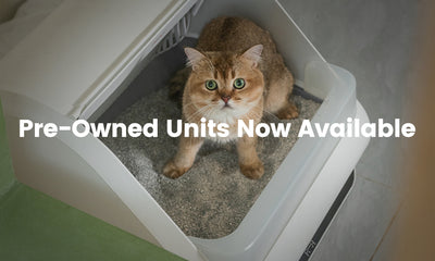 Pre-Owned Units Now Available