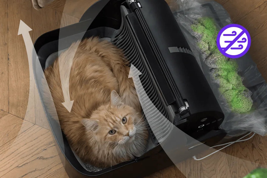 Ventilation & Source Control