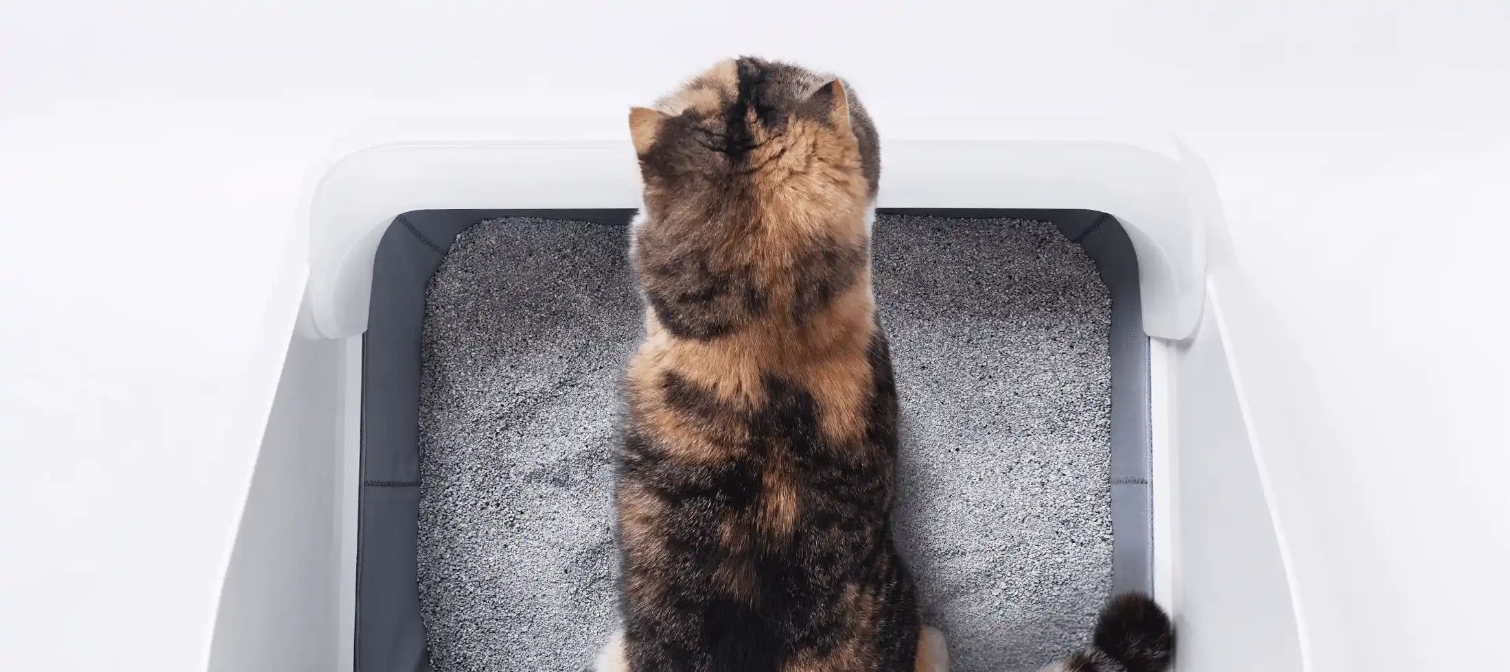 Benefits for cats-most kitties enjoy doing business in a ventilated and open top potty