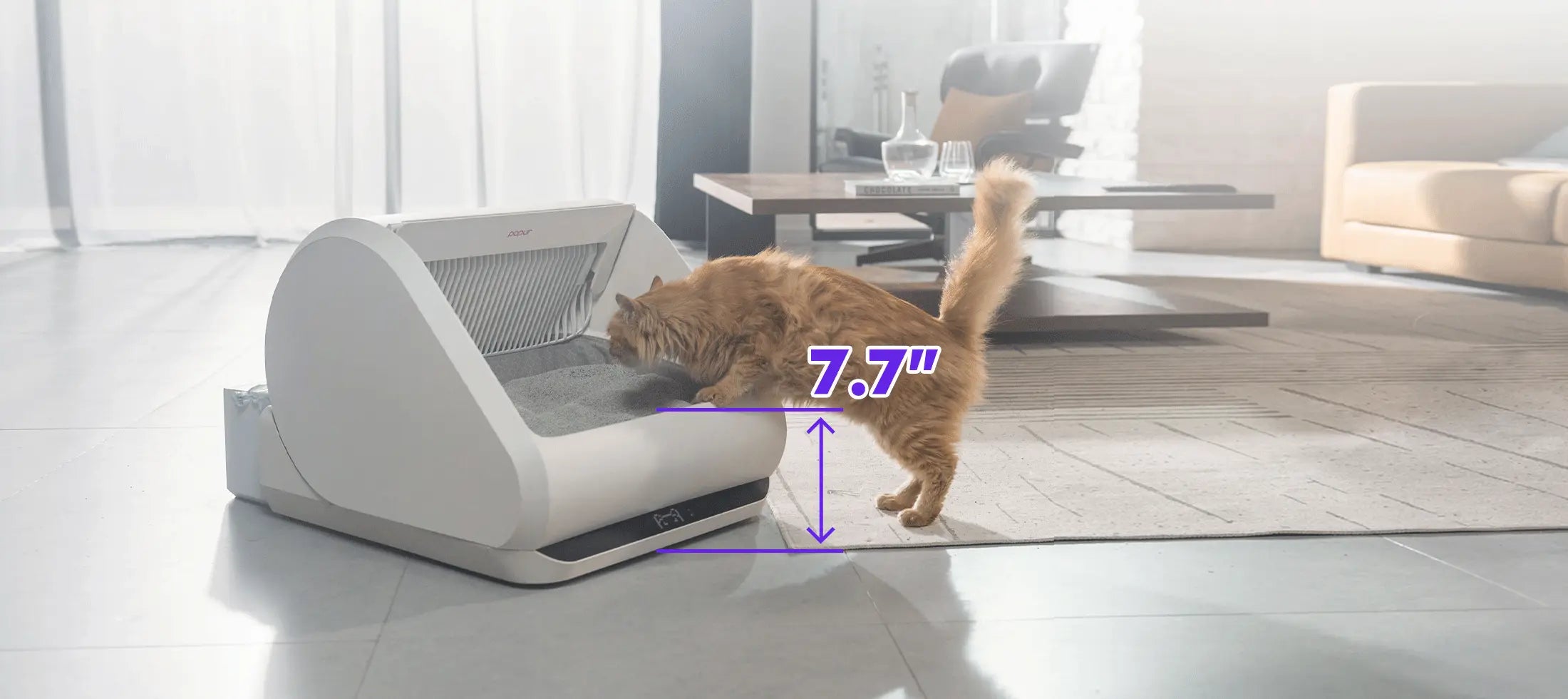 Benefits for cats-senior cats and short-legs are well accommodated by the rather low entryway