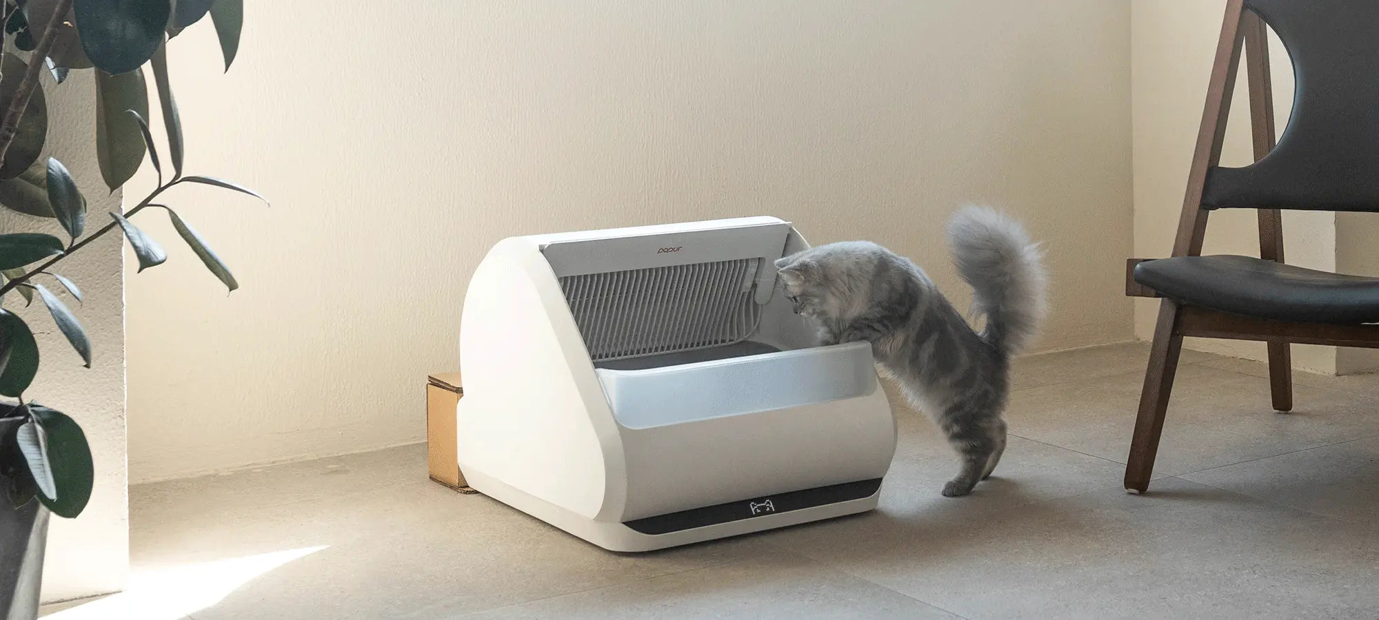Kick-started and crowdfunded by 1757 cat lovers