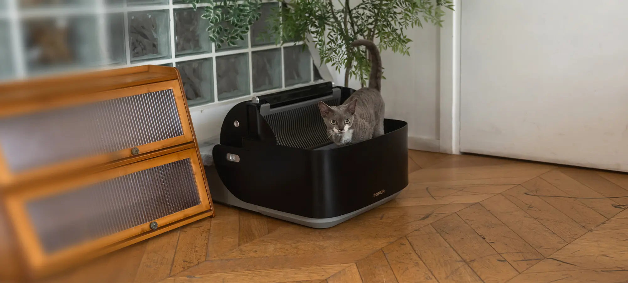 Kickstarted and crowdfunded by 2891 cat parents