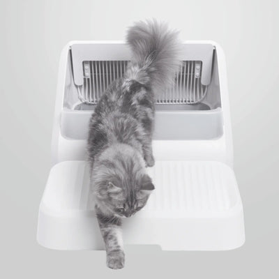 Litter Trapping Ramp