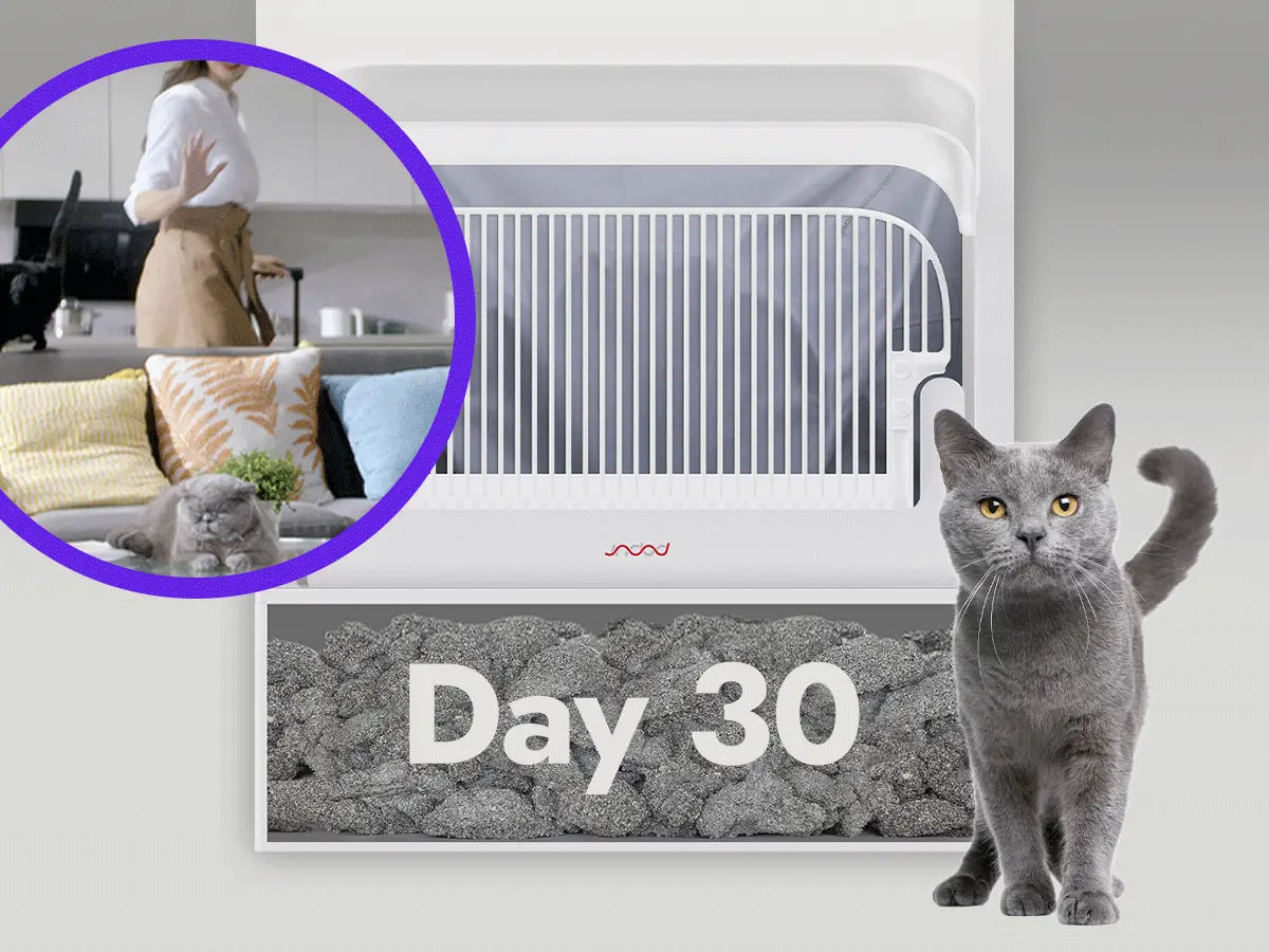 Number talks 30-day waste storage capacity for one cat x5