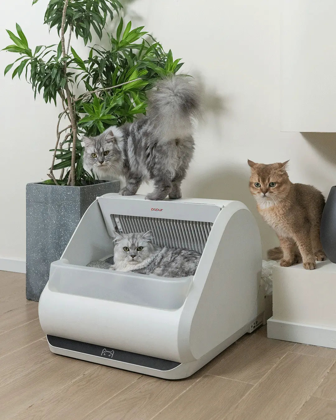 Our approach is presented by cat-centric architecture x5