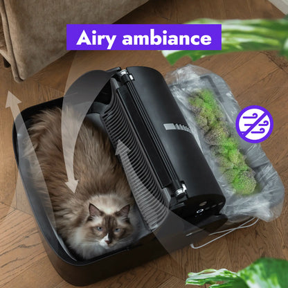 Popur S7 CARESS Features, Airy ambiance