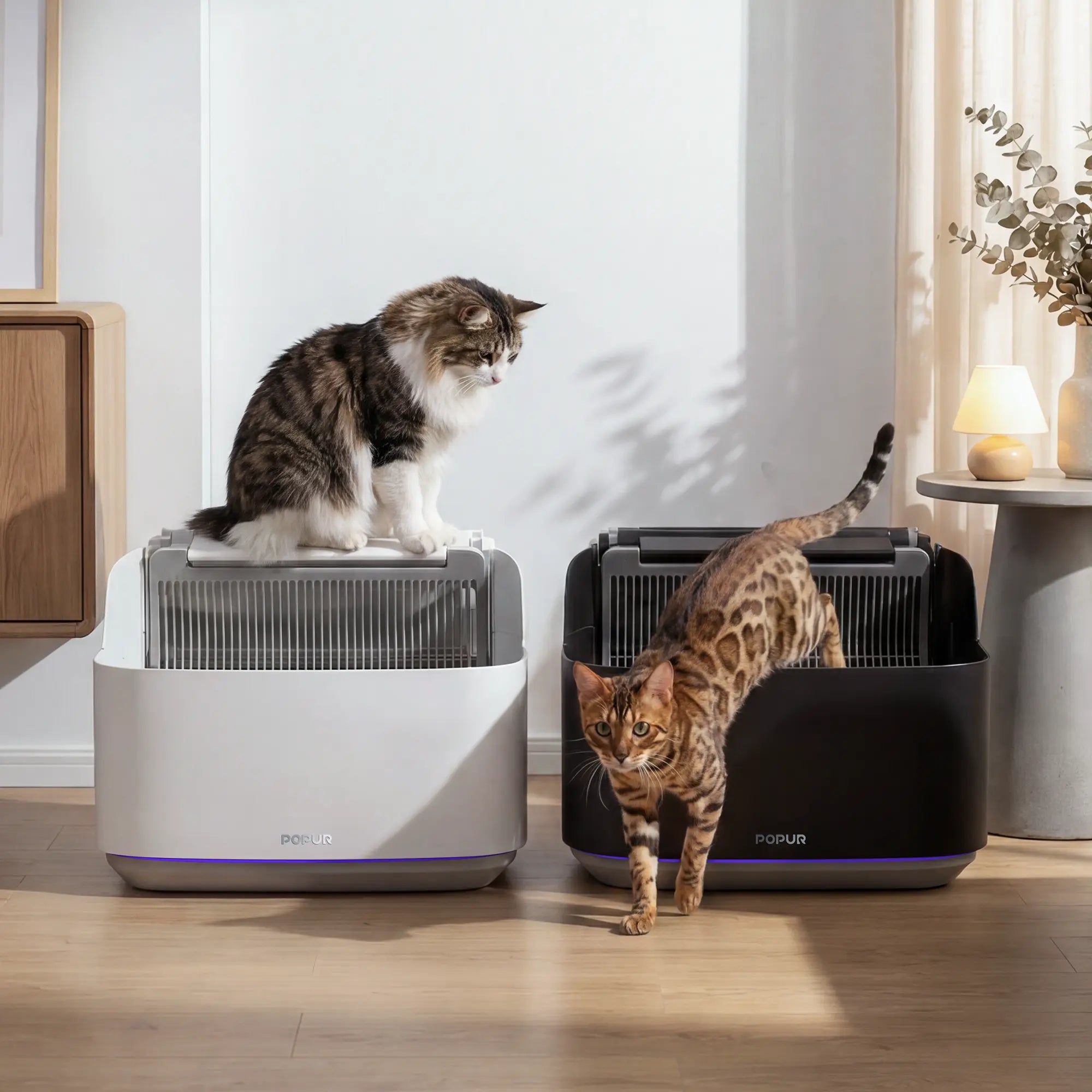 Popur S7 Split Litter System (SLS) Lifestyle