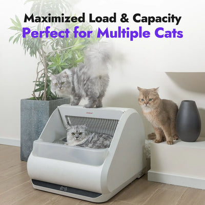 Popur X5 core bundle pic05 perfect for multiple cats