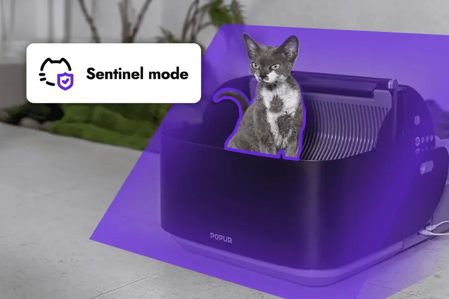 Advanced Sentinel Mode