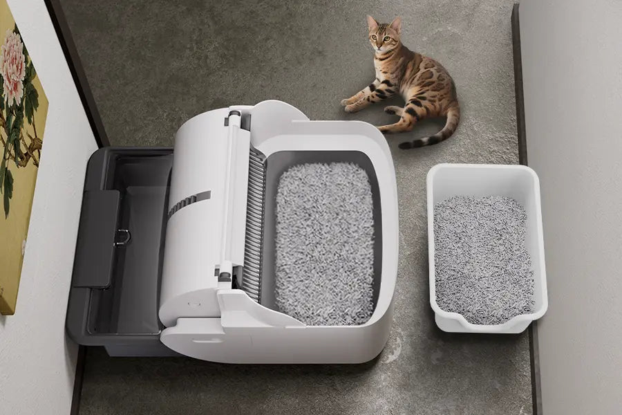 Familiar Form, Instant Trust