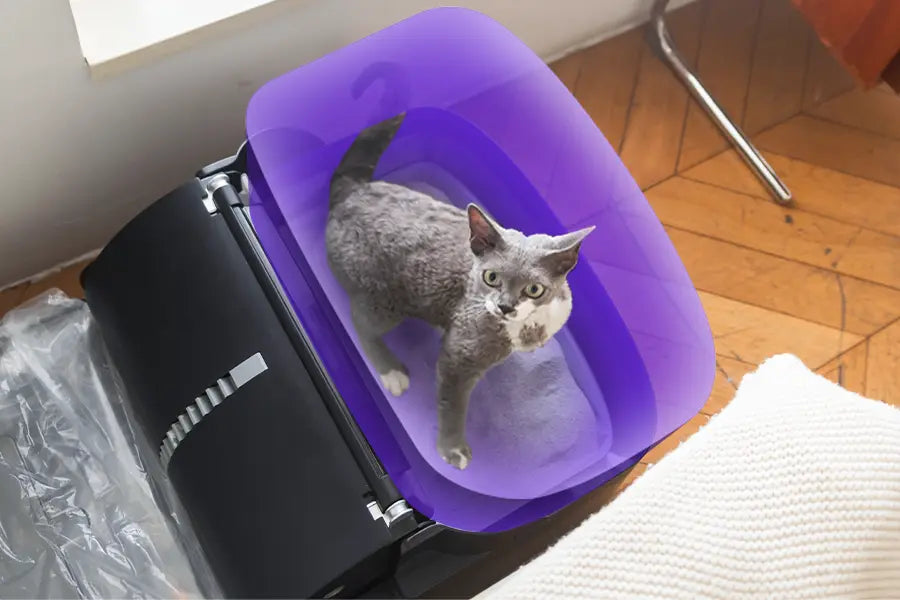 Refined Spatial Efficiency