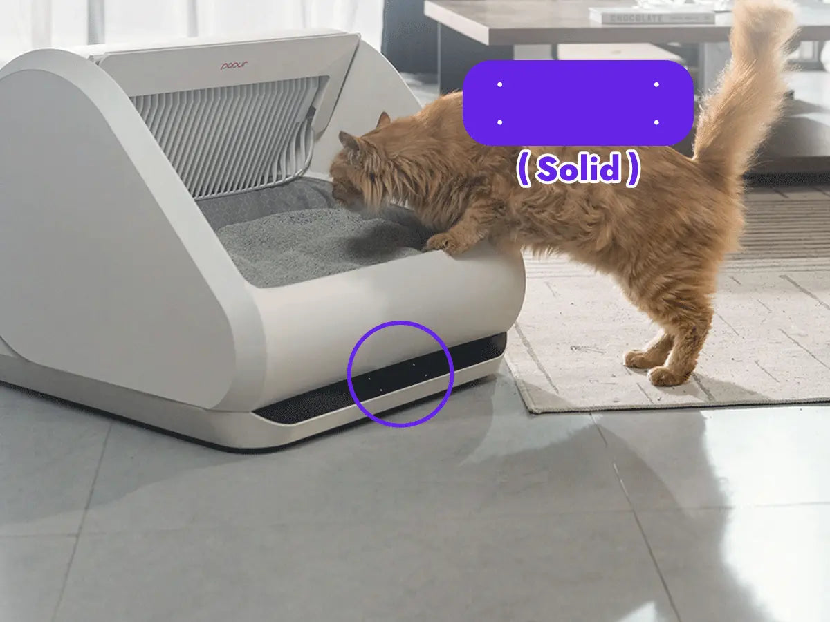 Safeguard smaller pets Curious Cat