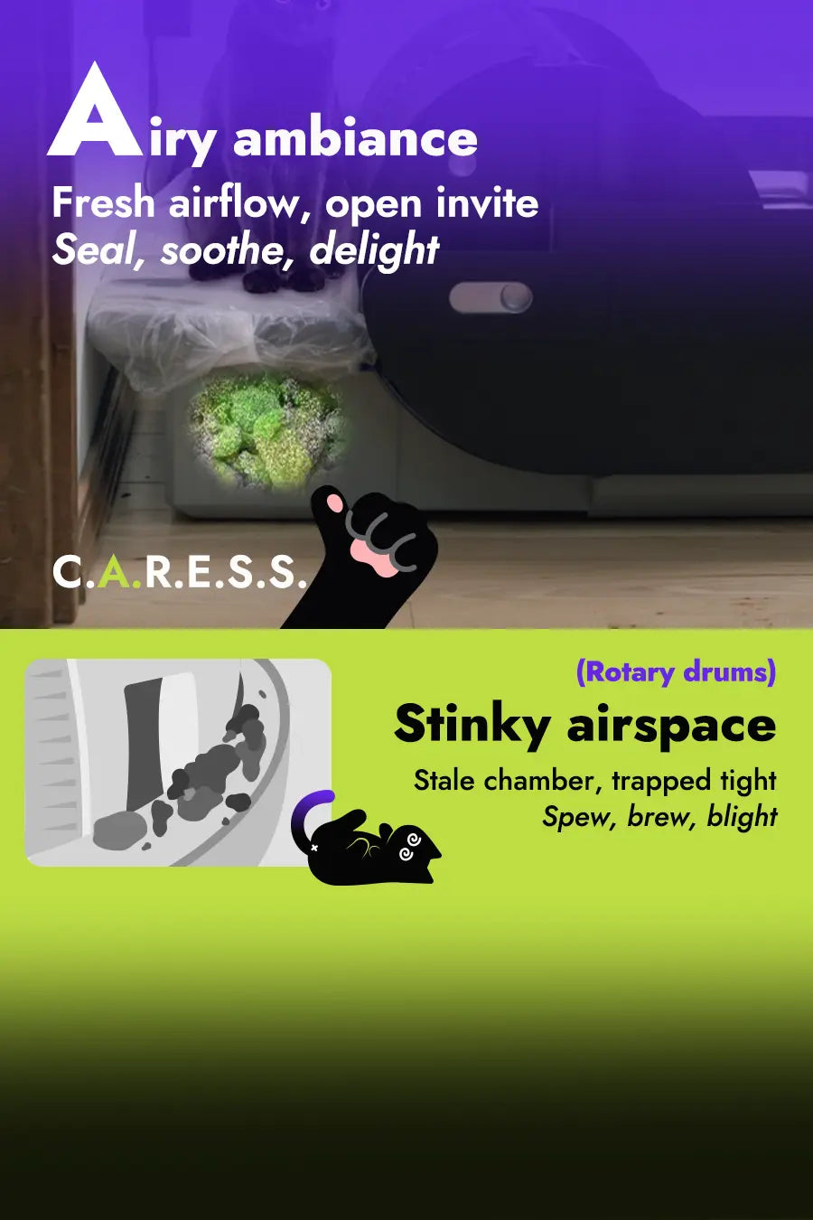 The CARESS foundation: Airy ambiance