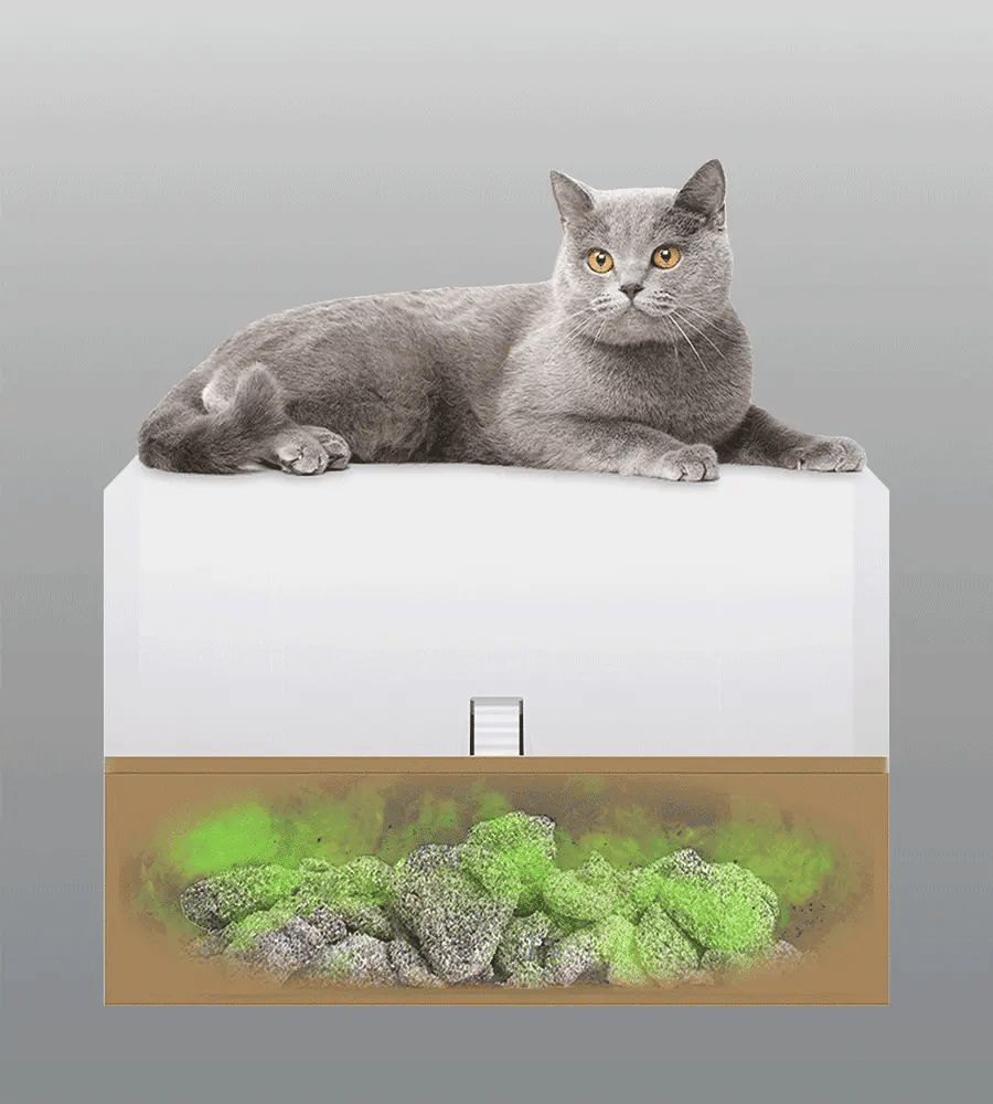 Traps 99.9 percent odor sensible to you and your cats