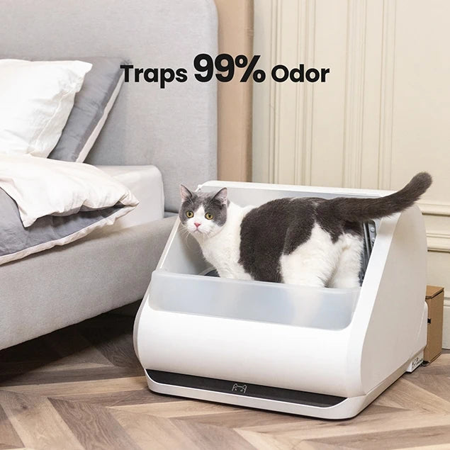 Traps_99%_Odor